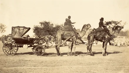 Camel Carriage, cca 1860 (hlubotisk)
