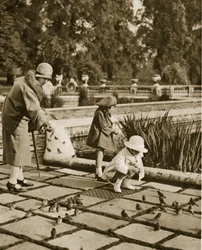 Krmení vrabců v Hyde Parku (sépiová fotografie)