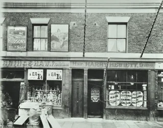 Zelené potraviny, 5 Albert Road 97,0 ALB, 1899
