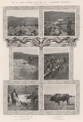 První cesta Skotských stráží z dopravní obtížnosti