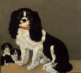 Kavalír King Charles španěl se štěňaty (pár 64046)