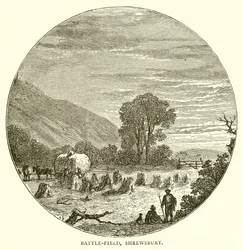 Bitevní pole, Shrewsbury