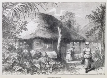 Black Habitations, z 