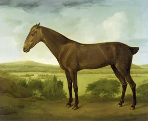 Hnědý kůň v kopcovité krajině, cca 1780-1800