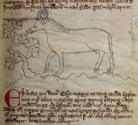 CCA-LitMs/D/10 fol. 4r Yale z Bestiáře