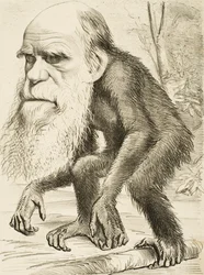 Karikatura Charlese Darwina