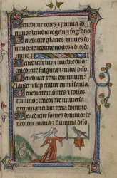 Folio 75 Ilustrace z 