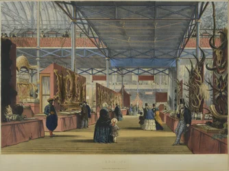 Z „Dickinsonových souhrnných obrázků z Velké výstavy z roku 1851“, publikovaných v roce 1854, Indie č. 6, 1854