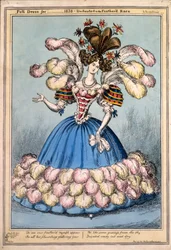 Kompletní šaty pro _ 1828 - Věnováno opeřenému plemeni, 1828 (ručně kolorovaná rytina)