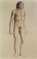 Homo erectus (tužka na papíře)