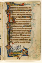 MS 1-2005, fol. 183r: A Man Riding Backwards, okrajová dekorace z Macclesfieldského žaltáře, Use of Sarum, East Anglia, c.1330