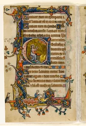 MS 1-2005, fol. 207v: Isaiah Praying, historická iniciála a z Macclesfieldova žaltáře, Use of Sarum, East Anglia, c.1330