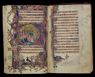 Ms 1-2005, ff.161v-162r: Otec a syn, historická iniciála D z Macclesfieldova žaltáře, Use of Sarum, East Anglia, c.1330
