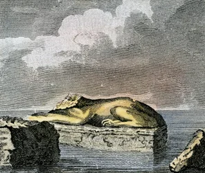 Část egyptské sfingy nalezená v ruinách starověkého města Canopus