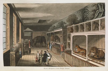 Royal menagerie, Exeter (Change Exchange), Strand. Select views of London : s historickými a popisnými náčrty některých nejzajímavějších veřejných budov / sestavil a uspořádal J. B. Papworth. John Buonarotti Papworth v Londýně