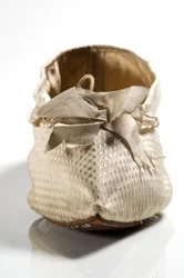 Bota