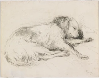 Sleeping Dog, cca 1840 (grafit na papíře)
