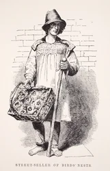 Pouliční prodavač ptačích hnízd, ilustrace z London Labor and London Poor od Henryho Mayhewa, hospoda. 1862