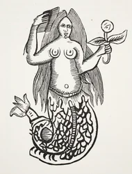 Zázrak zázraků, ilustrace z knihy Chap-books of the Eighteenth Century od Johna Ashtona, vyd. 1882