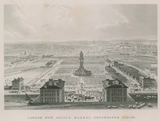 Nový Metropolitan Cattle Market, Copenhagen Fields, Londýn