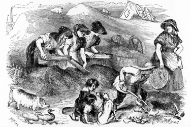 Pohled na Dust-yard, ilustrace z „London Labor and the London Poor“ od Henryho Mayhewa, kolem 40. let 19. století