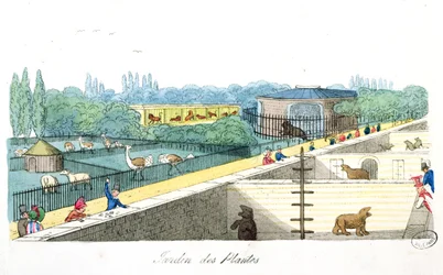 Návštěvníci v Jardin de Plantes v Paříži, z knihy De Paris a Douvres od Rogera Bookema, 1822