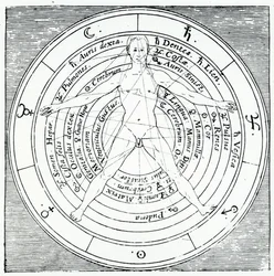 Vitruviánská postava z „Utriusque Cosmi Historia“ od Roberta Fludda, publikovaná v roce 1617 (rytina)
