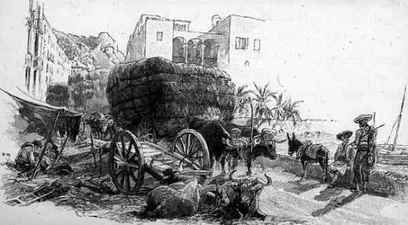 Vozy s trávou Esparto, Almeria, Španělsko, z knihy "The Picturesque Mediterranean", svazek 3, vydané nakladatelstvím Cassell and Co. Ltd.