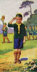 Vlčí mládě, 1923