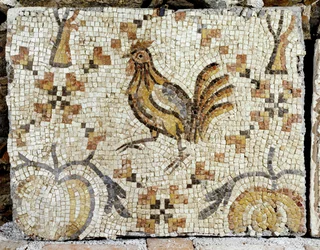 Kachna, detail z dlažby lázní v Tiberiadě (mozaika)