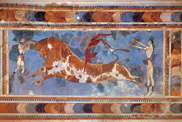Bull-Jumping