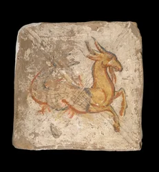 Kozoroh 244-245 CE ...