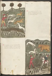 Celá strana: text a miniatury: "Carne le lepore" - hon na zajíce a lišku: (miniatura): " Carne de orso " - lov na medvěda (miniatura)