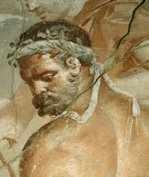 Hérakles nachází svého syna Telepha v Arkádii Detail: hlava Hérakla