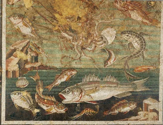 Mořská fauna, ryby, Faunův dům, Pompeje