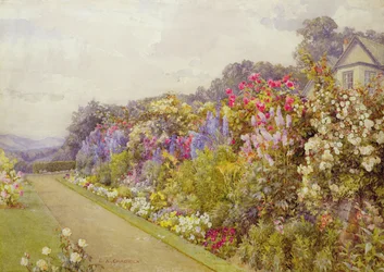 Delphinium Border, v 