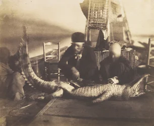 Pitva prvního krokodýla na palubě, Horní Egypt, 1852.