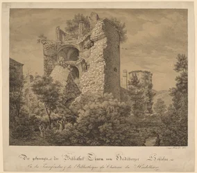 Exploded Tower a knihovna zámku Heidelberg