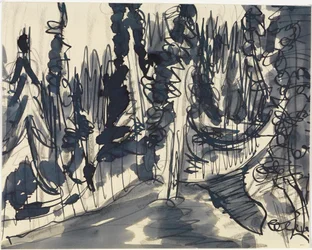 Jedlový les (studie horského lesa)