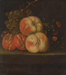 Ovocná studie