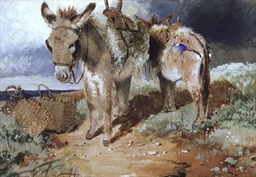 Osli, 1855