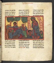 Nebo. 607 f066r, Scéna ze života Panny Marie, z 