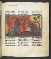 Nebo. 607 f174r, Scéna ze života Panny Marie, z 