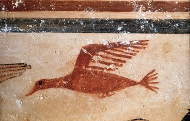 Pták. (Detail fresky, 530 př.nl)