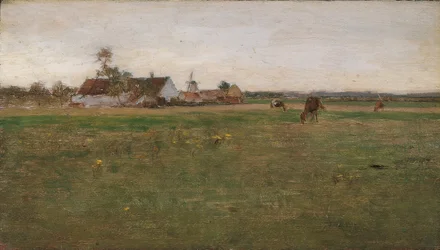 večerní krajina