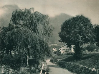 Cesta k zámku Tyrol, Merano, Jižní Tyrolsko, Itálie, 1927