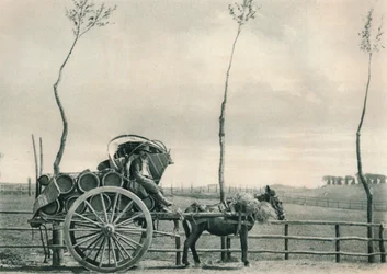 Přepravce vína v Campagna, Řím, Itálie, 1927