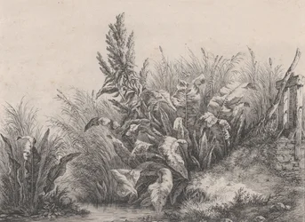 Závod Great Water Dock, 1840.