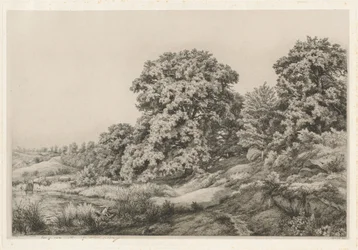 Duby u rybníka, 1852.