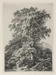 Studie nakreslené a vyryté podle přírody: Pláž, Fontainbleau..., 1840.